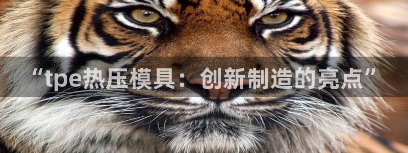 易倍单词官方网站的：“tpe热压模具：创新制造的亮点”