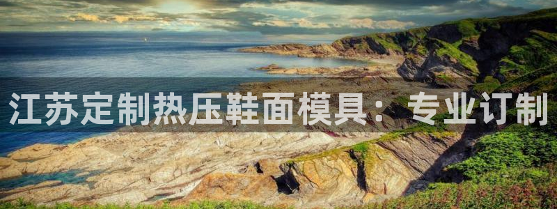 易倍纤减肥价格：江苏定制热压鞋面模具：专业订制