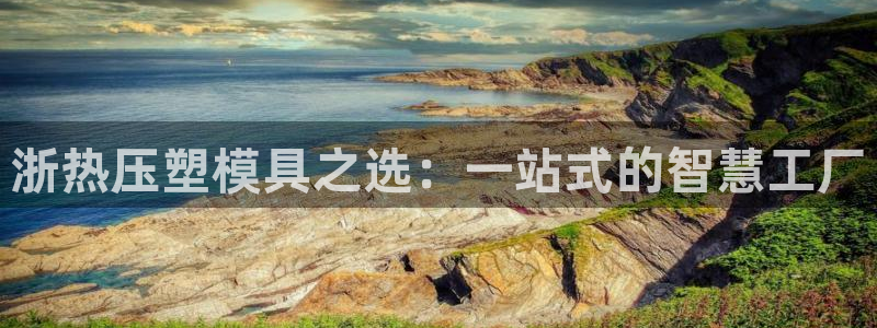 易倍申价格是多少：浙热压塑模具之选：一站式的智慧工厂