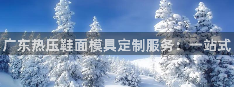 易倍app官网下载：广东热压鞋面模具定制服务：一站式