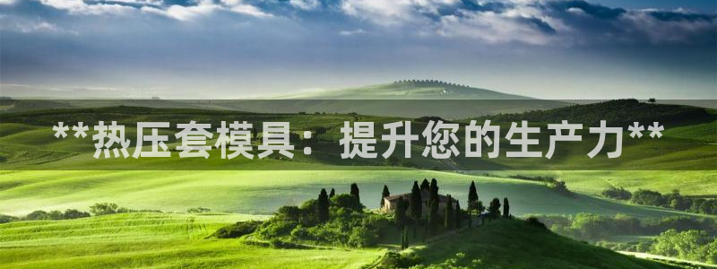 易倍纤代餐奶昔减肥效果怎么样：**热压套模具：提升您的生