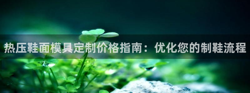 易倍达怎么样：热压鞋面模具定制价格指南：优化您的制鞋流程