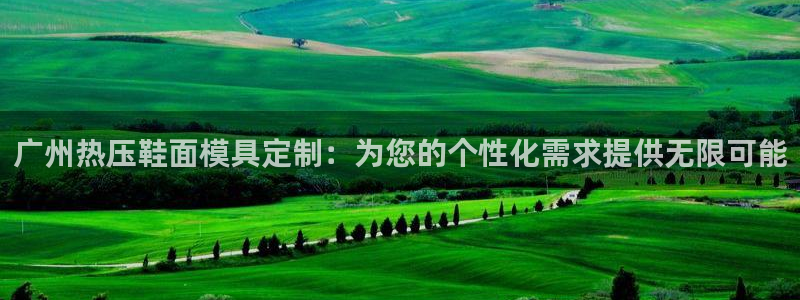 emc易倍官网app：广州热压鞋面模具定制：为您的个性化