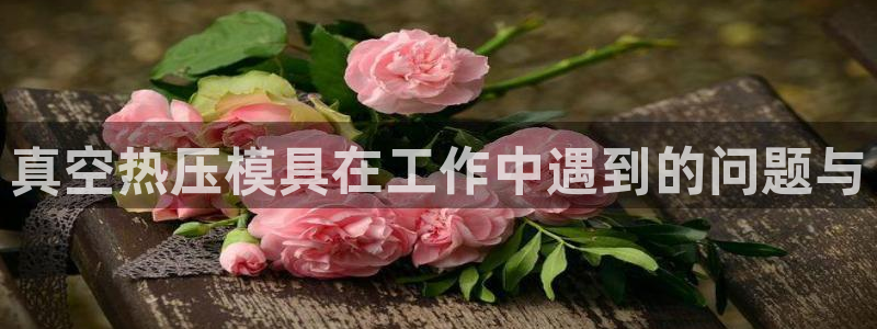 emc全站app下载：真空热压模具在工作中遇到的问题与