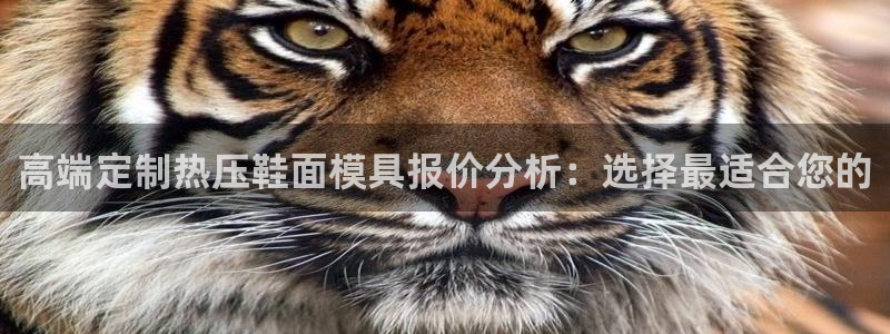 emc易倍官网app：高端定制热压鞋面模具报价分析：选择